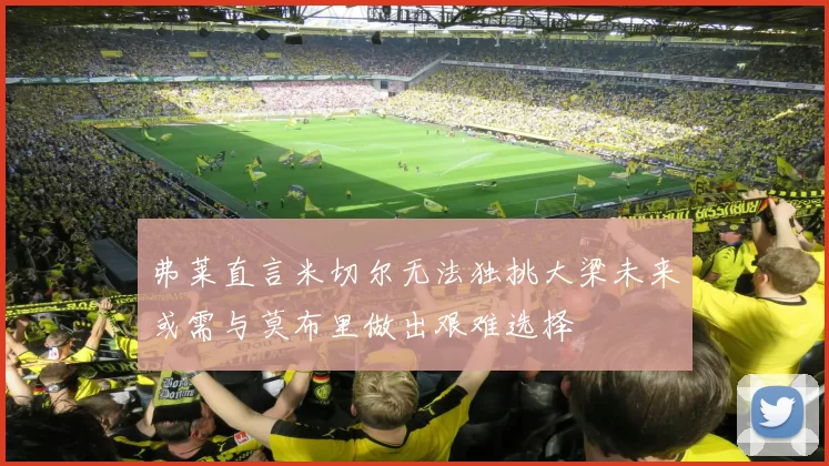 弗莱直言米切尔无法独挑大梁未来或需与莫布里做出艰难选择